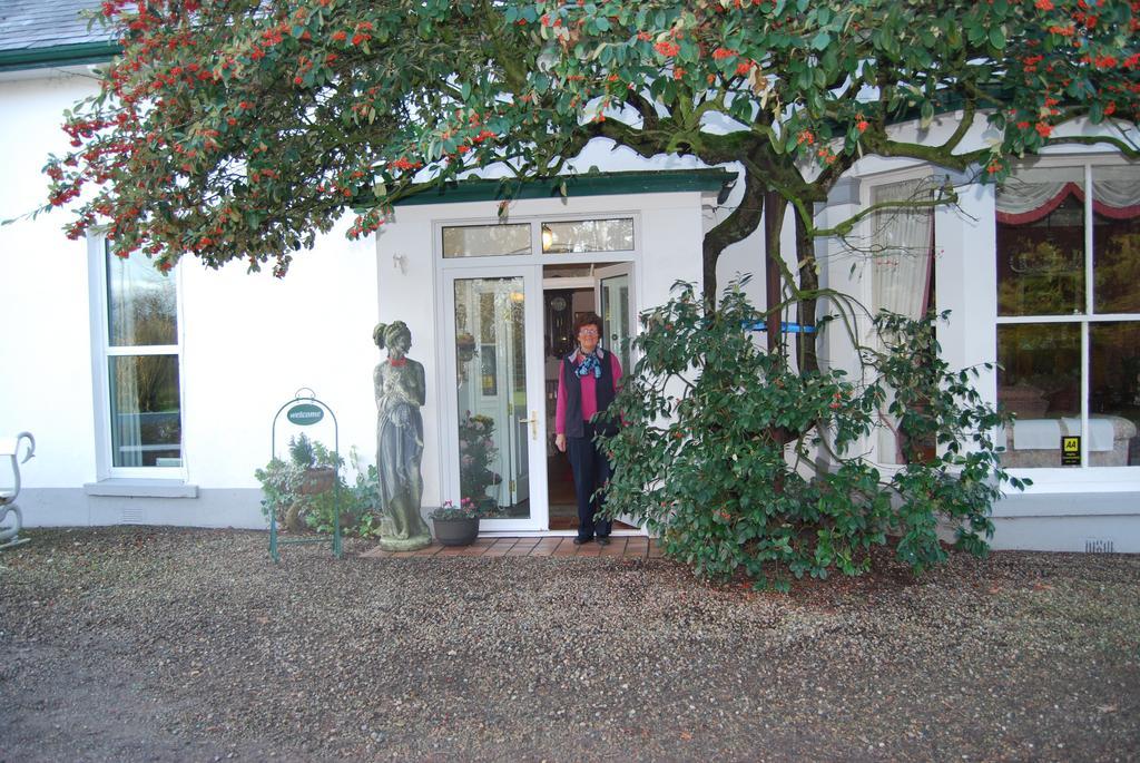 Grange Lodge Country House Dungannon Exterior foto